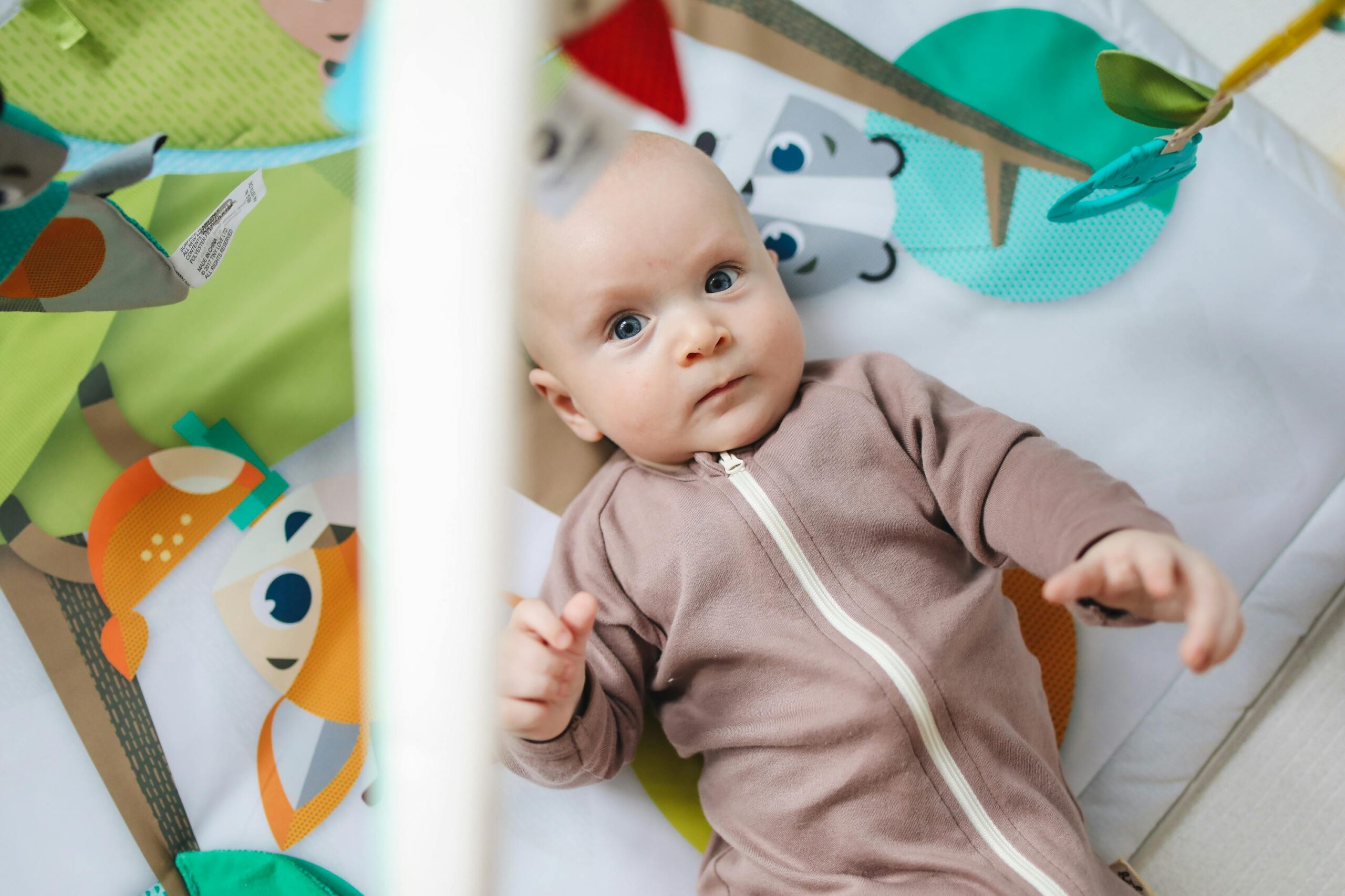Van zwanger tot het eerste kinderfeestje: zo verloopt het eerste jaar van je kindje